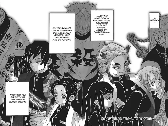 Demon Slayer Chapter 45 image 02_optimized